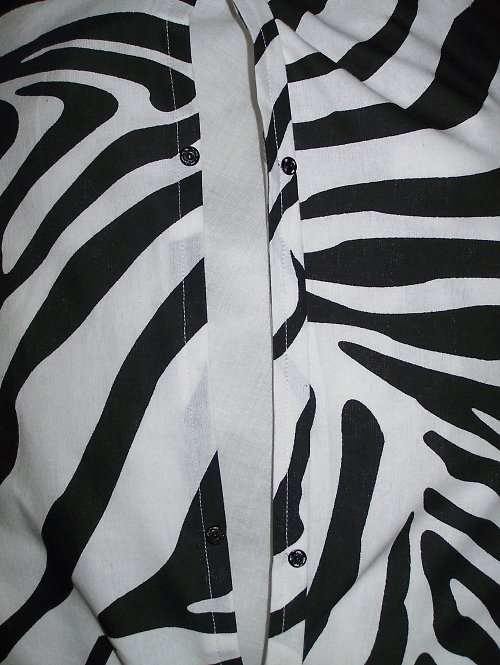 Zebra — foto 3