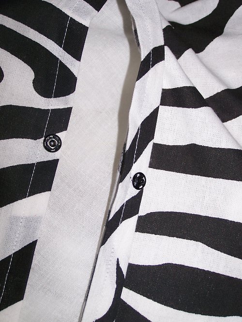 Zebra — foto 4