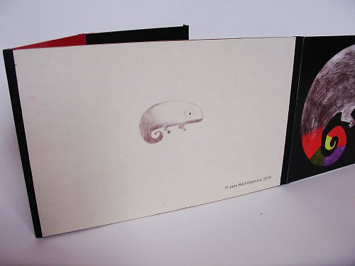 Chameleon — foto 4