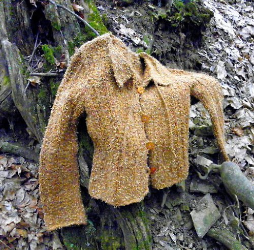 Střapatý — foto 2