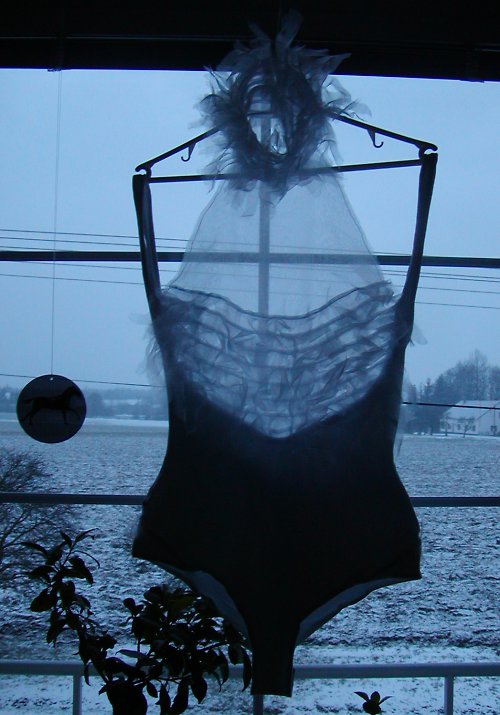 Albatros - body — foto 2