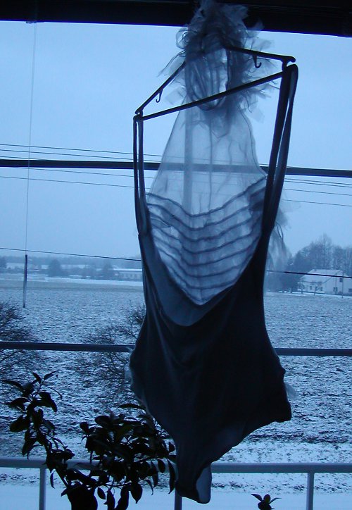 Albatros - body — foto 3