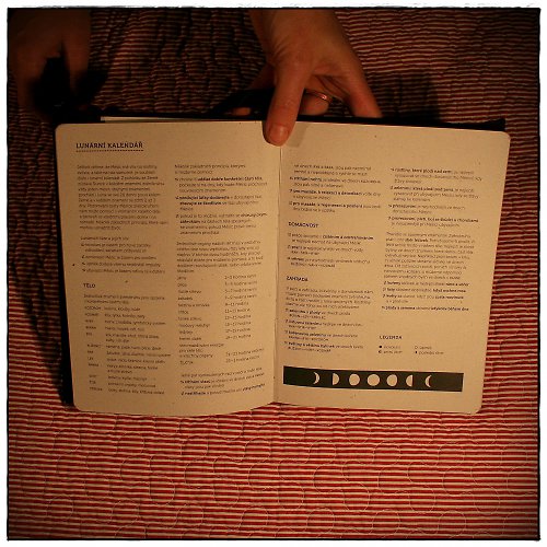 Sleva!!! diář 2011 a obal na knížku forever — foto 4