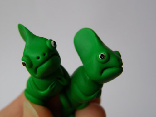 Chameleonci rezervace Frote — foto 2