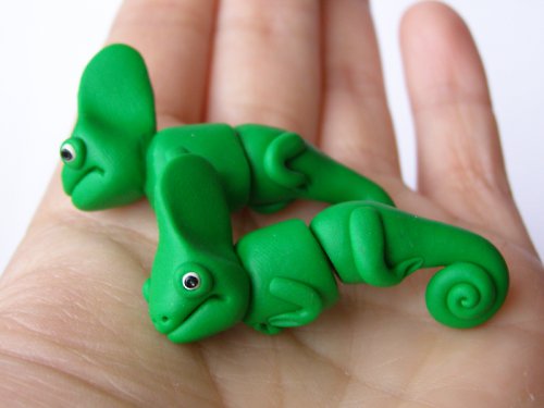 Chameleonci rezervace Frote — foto 3