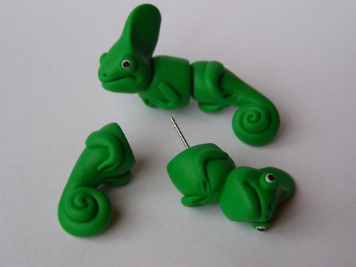Chameleonci rezervace Frote — foto 4