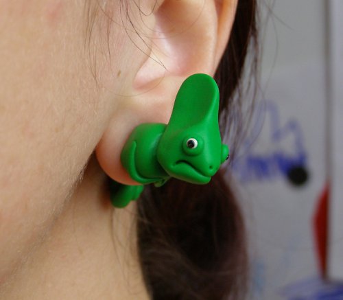 Chameleonci rezervace Frote — foto 5