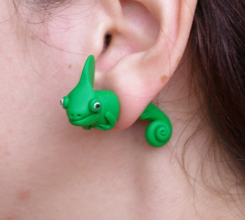 Chameleonci rezervace Frote — foto 6