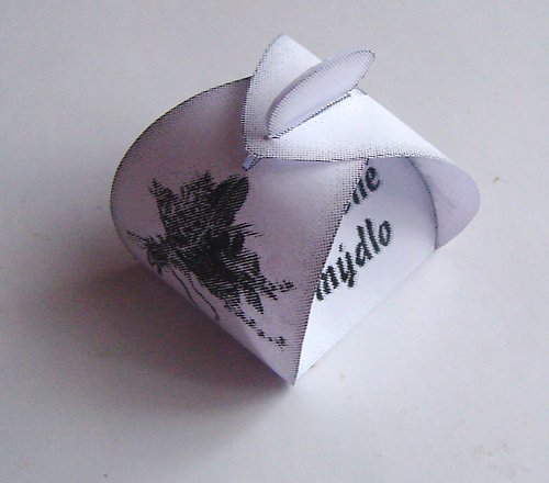 Spirálkové — foto 2