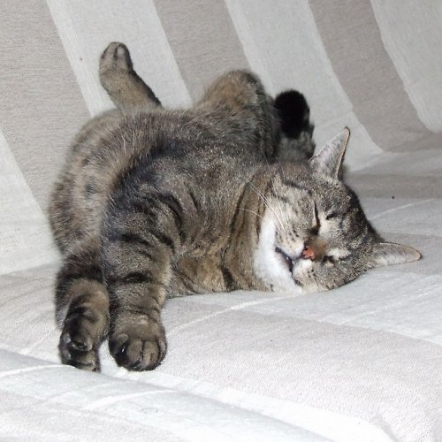 Zelené pohlazení — foto 6