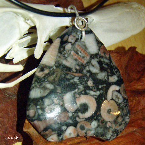 Prvohorní crinoidy — foto 4