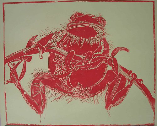Žába chlupatá 60x49cm — foto 2