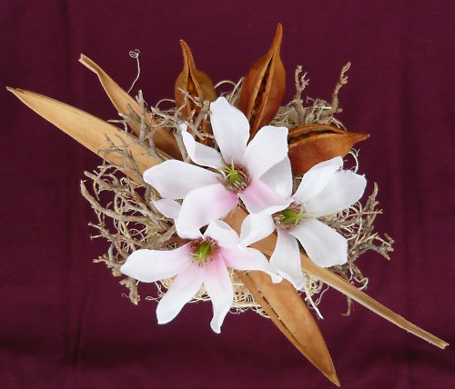 Magnolie — foto 3