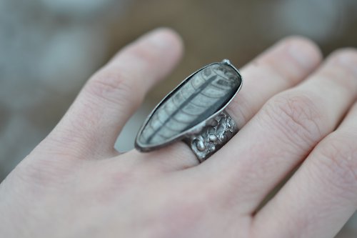 Orthoceras..prsten — foto 2