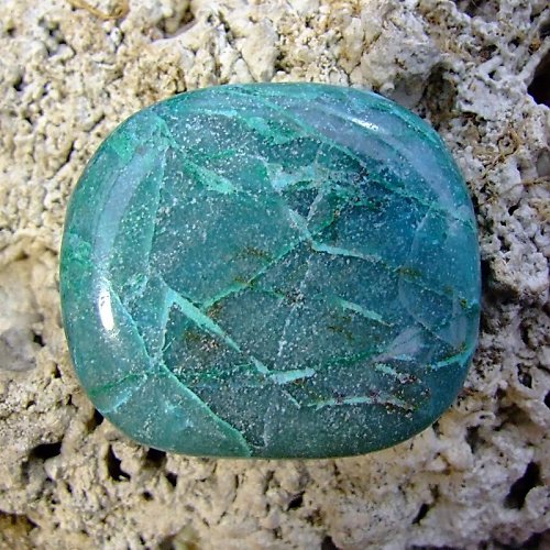 Chrysokol — foto 2