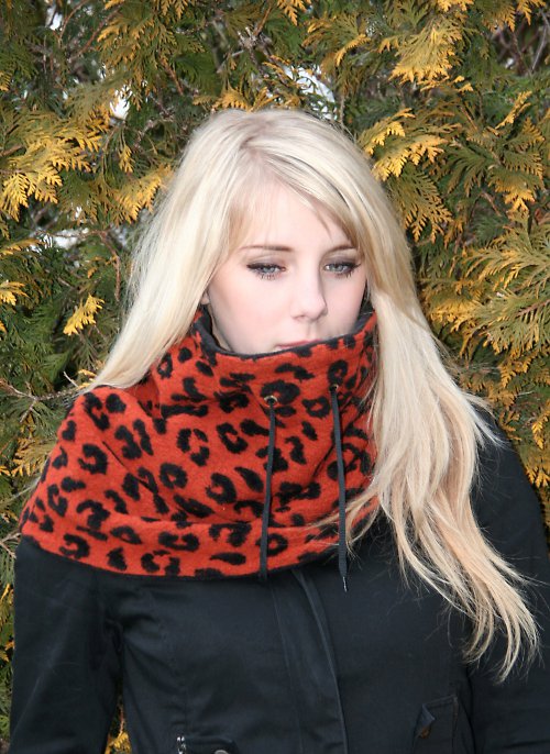 Rezavá liška s leopardem — foto 5