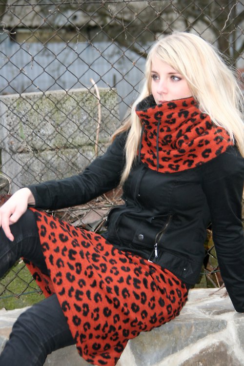 Rezavá liška s leopardem — foto 6
