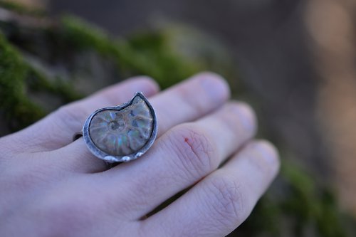 Amonit na prst — foto 4
