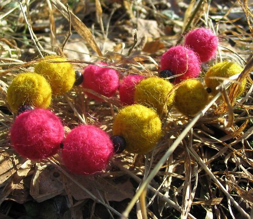Fuchsie a pampeliška — foto 2