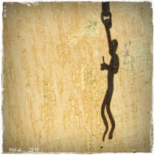 Jaké gesto,Gusto....? — foto 2