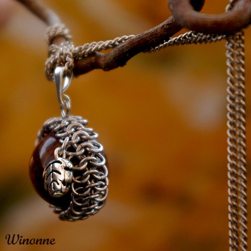 Quercus — foto 4