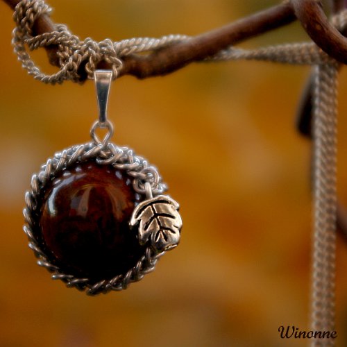 Quercus — foto 5