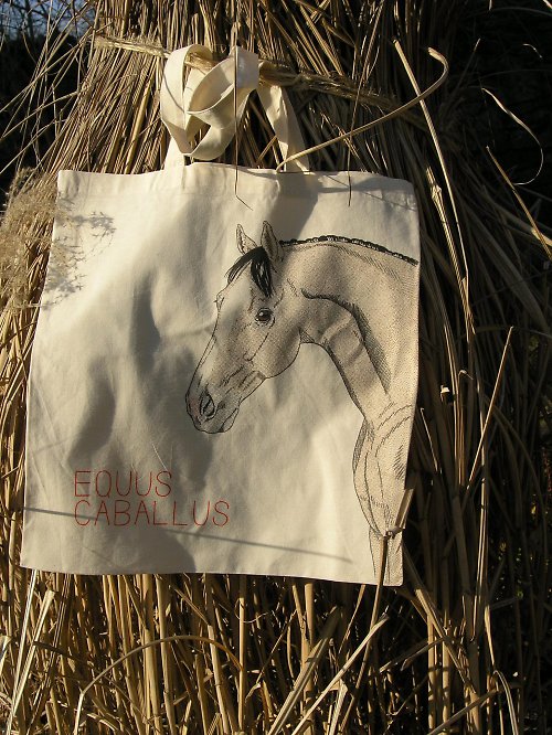 Taška EQUUS velká — foto 2