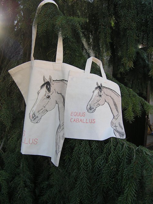 Taška EQUUS velká — foto 4