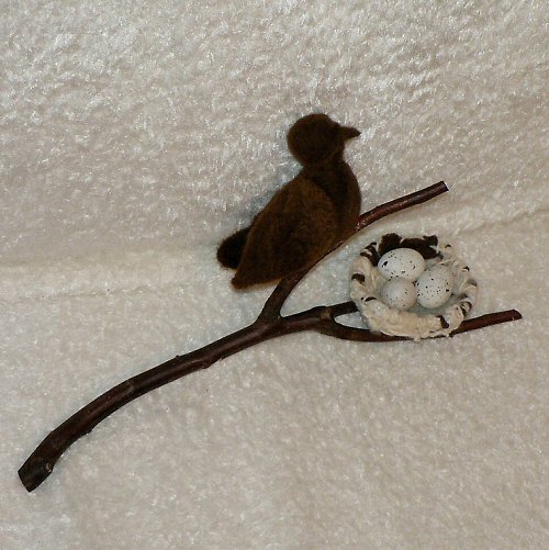 Hnízdění — foto 2