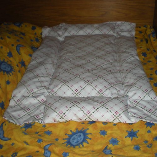 Jemně skotský roháček — foto 2