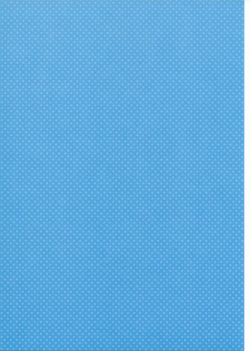 Capsule BlueBerry A5 -16ks — foto 2