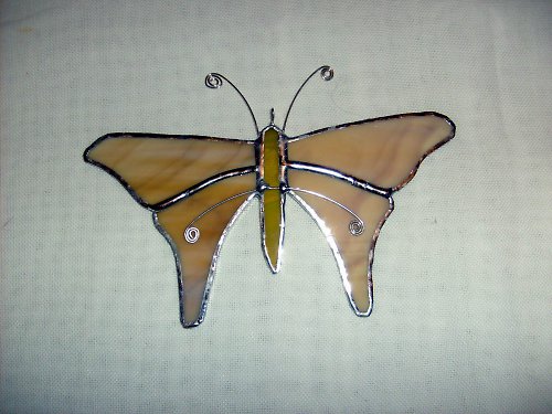 Motýl béžový — foto 2