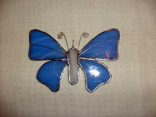 Motýl modrý 2 — foto 2