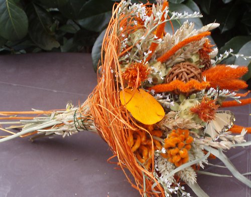 Malý jarní pugýtek oranžový — foto 3