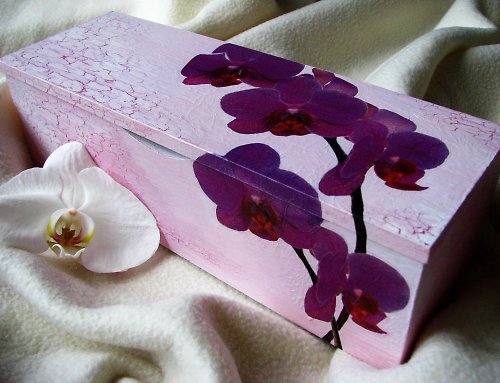 Fialová orchidej — foto 2