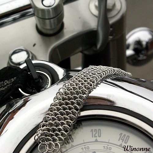 Dragon scale — foto 2