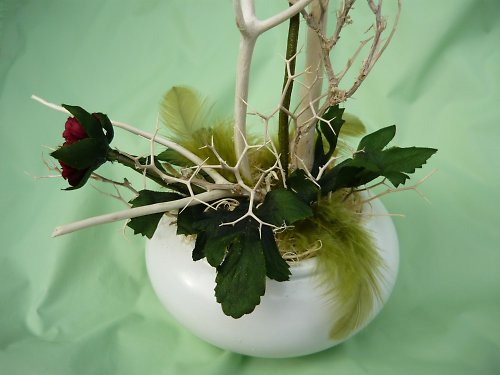 Opuštěný ranunculus — foto 3