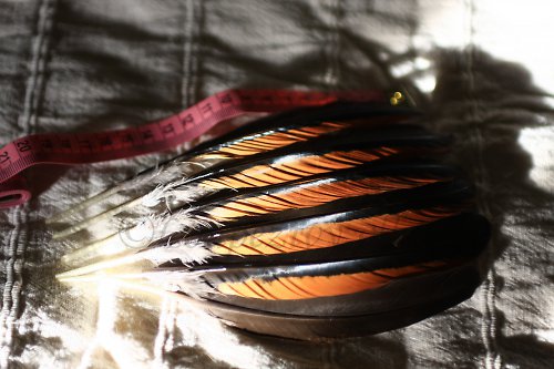 Kohoutí letky 20cm — foto 2