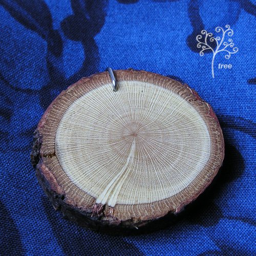 Sluneční — foto 2