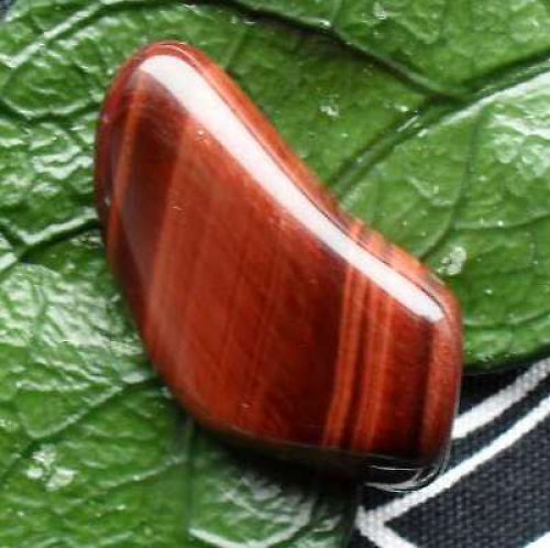 Býčí oko 38x21x13mm — foto 2