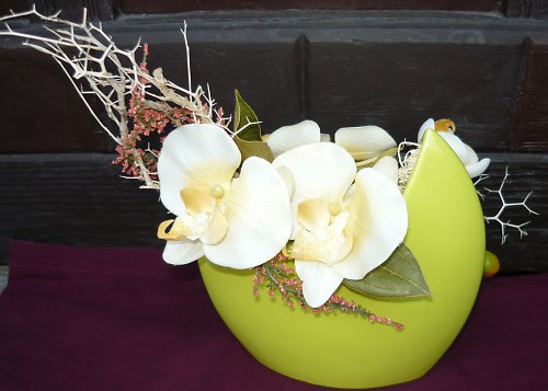 Zasněná orchidej — foto 4