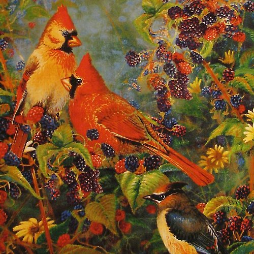 Panel látky ptáčci v zahradě 88 X 110 cm — foto 2