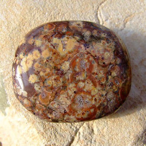 Jaspis Leopardí — foto 2