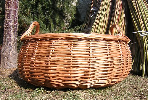 Koš baňatý střední — foto 2