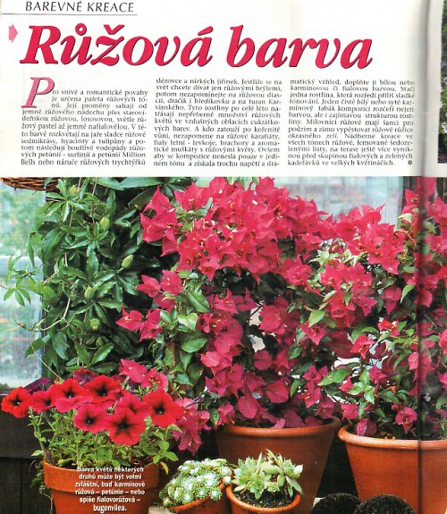 Zahrada speciál - balkon a terasa — foto 2