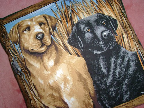 Polštář 42x42cm - labradoři — foto 2