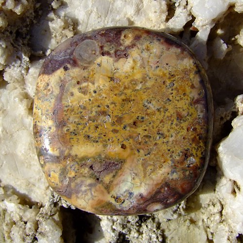 Jaspis Leopardí — foto 2