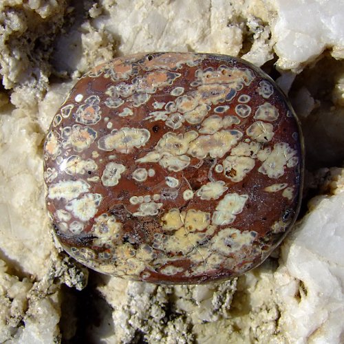 Jaspis Leopardí — foto 2