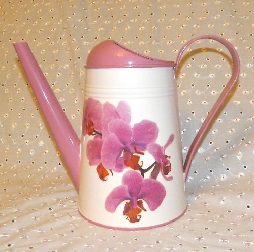 Konvička s orchidejí — foto 2