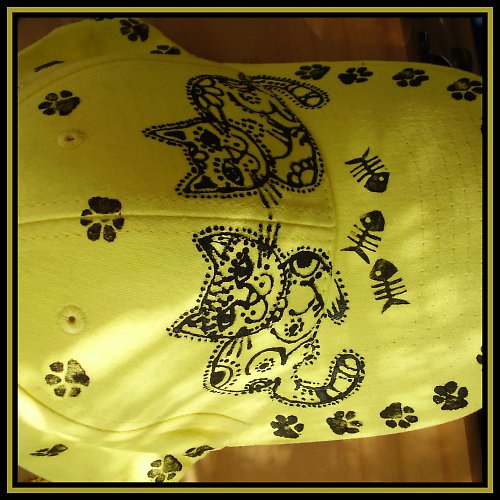 Buďte KOČKA ! — foto 3